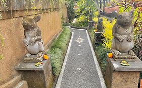 Rumah Kelinci